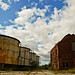 Paul Selby Photo 10