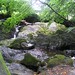 Glen Patrick Photo 12