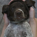Lori Grady Photo 7