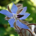 Carole Summers Photo 24