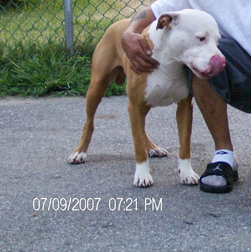 Isaiah Torres Photo 30