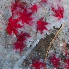 Sarah Wooldridge Photo 36