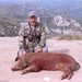Steven Hunt Photo 11