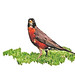 Robin Summers Photo 11