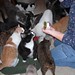 Debra Barrett Photo 30