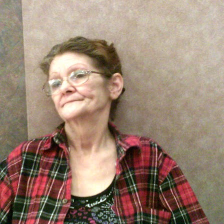 Sandi Johnson Photo 7