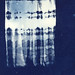 Richard Fisher Photo 16