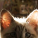 Michele Jasper Photo 14