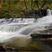 David Melin Photo 9