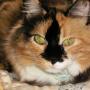 Judy Hedrick Photo 4