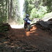 Heather Elkins Photo 18