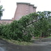Russell Garrison Photo 13