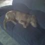 Debbie Worley Photo 27