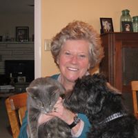 Lee Plummer Photo 13