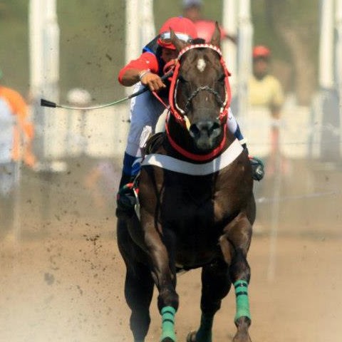 Emanuel Paredes Photo 9