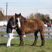 Terrie Mcconnell Photo 9