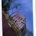 Jerome Forest Photo 7