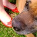 Kimberly Mims Photo 16