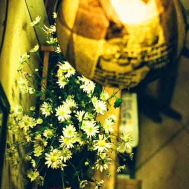Thao Duong Photo 43