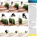 Aaron Thrasher Photo 22