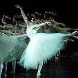 Grace Jiang Photo 26
