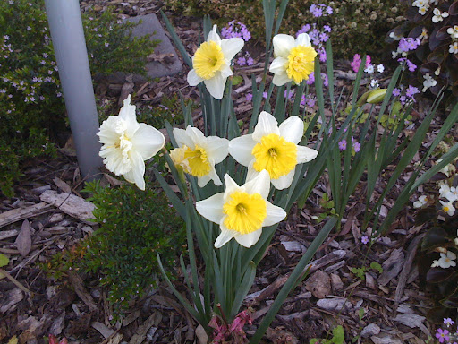 Vicki Simpson Photo 33