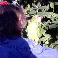 Tracy Macauley Photo 10