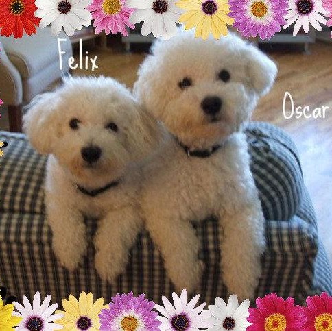 Julia Johns Photo 40