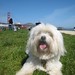 Willie Bridges Photo 13