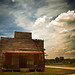 William Bone Photo 8