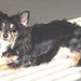 Timmy Ray Photo 21