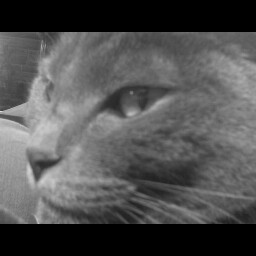 Rebekah Norton Photo 6