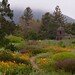 Barbara Dougherty Photo 12