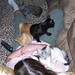 Arlene Lay Photo 6