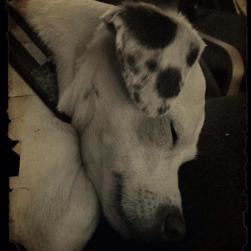 Bridget Dempsey Photo 9