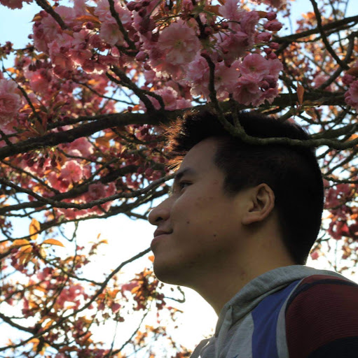 Hieu Le Photo 23