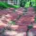 Anne Herndon Photo 14
