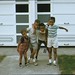 Deborah Roland Photo 21