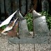 Frank Crawford Photo 27