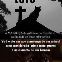 Elizabeth Pinto Photo 26