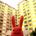 Terry Shek Photo 7