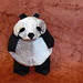 Hua Liu Photo 38