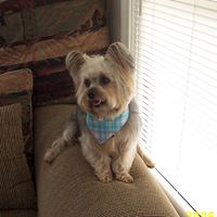 Joann Graham Photo 8