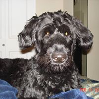 Susan Audette Photo 7
