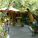 Cindy Nickel Photo 22