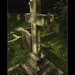 Cathy Graves Photo 9