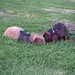 Heather Beasley Photo 17
