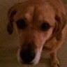 Kelly Piatt Photo 16