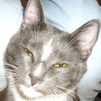Steven Shilling Photo 20