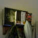 Julia Jackson Photo 4